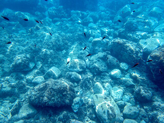 fondale marino Taormina