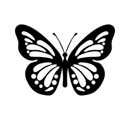 Black decorative butterfly on white background. Vector