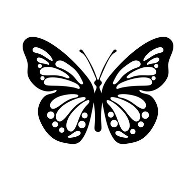 Black decorative butterfly on white background. Vector
