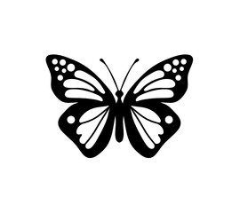 Black decorative butterfly on white background. Vector