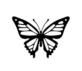 Black decorative butterfly on white background. Vector