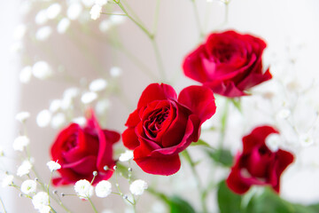 窓辺の薔薇とかすみ草