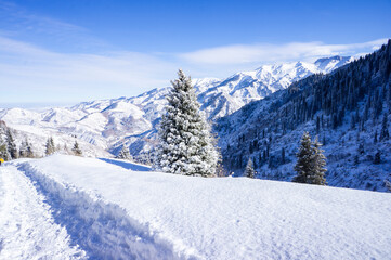 Fantastic fairytale landscape in the mountains near the city of almaty in winter snowy time. Deep trodden path in the mountains in winter, view from the path to the mountains.
