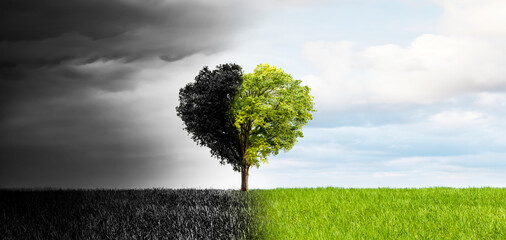Baum in Herzform als Beispiel für den Klimawandel zu intakter Umwelt