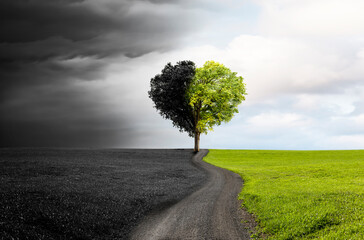 Baum in Herzform als Beispiel für den Klimawandel zu intakter Umwelt