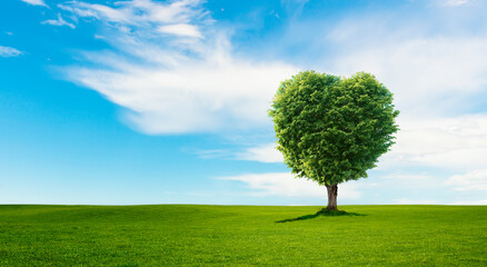 Fototapeta na wymiar Grüner Baum in Herzform auf einer grüner Wiese