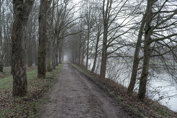 path at a canal in the foggy landscape