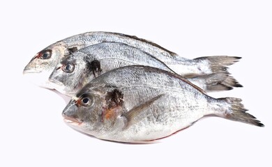 Three sea breams side by side on white background.