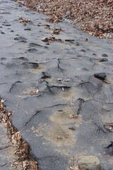cracked asphalt