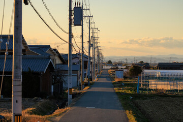 Narrow country road by houses and electrical poles at sunset - 568841671