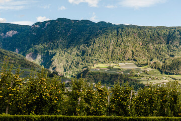 Dorf Tirol, Passeiertal, Vorderpasseier, Hafling, Meran, Weinberge, Obstb&auml;ume, Wanderweg, Passeier, Fluss, Herbst, Erntezeit, S&uuml;dtirol, Italien