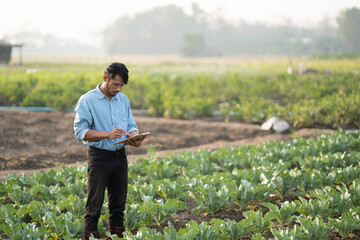 Young Asian farmer farmer record data in his farm, trying to collect and inspect the vegetables.