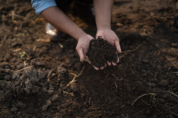 Close up view of farm owner examining soil in the field. inspect and test the soil during the...