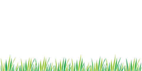 Fototapeta premium Vector green grass isolated on white background. Herbal Border, horizontal bottom edging, lawn panoramic landscape. Template, design element, illustration