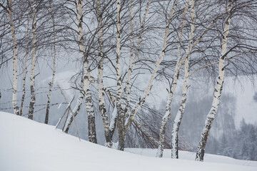 An abundant snowfall in the Romanian Carpathians in the village of Sirnea, Brasov. Real winter with snow in the country