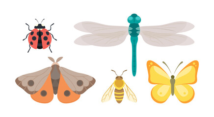 Insects color flat icons set. Cartoon butterfly, ladybug, dragonfly, moth and bee. Garden insects. Entomology. Collection of vector cute bugs isolated on white. - obrazy, fototapety, plakaty
