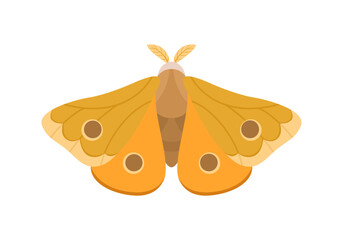 Moth color flat icon. Cartoon simple illustration of night butterfly. Flying insect.