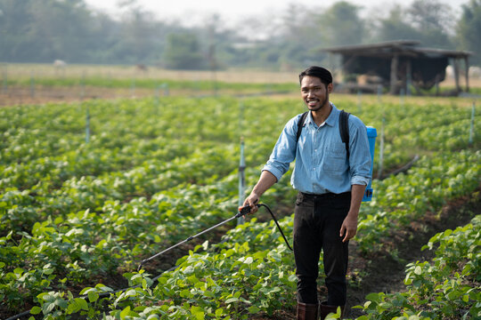 Farmer Spray Pesticides. Farmworker Spray Pesticide Insecticide On Vegetables. Ecological Insecticides.