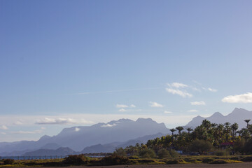 Mountain landscape with palm trees