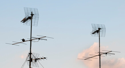 Antenna televisiva italiana con sfondo di cielo al tramonto