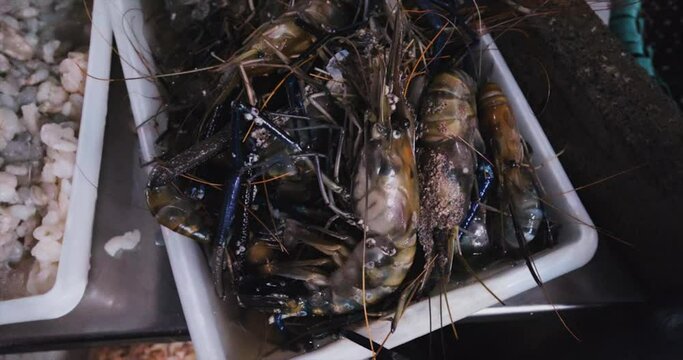 fresh malaysian shrimp