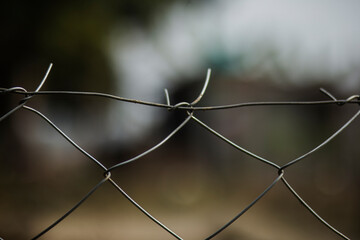 barbed wire fence