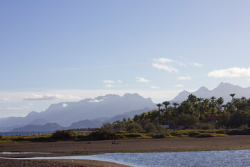 Palm trees in the sand with mountains in the background