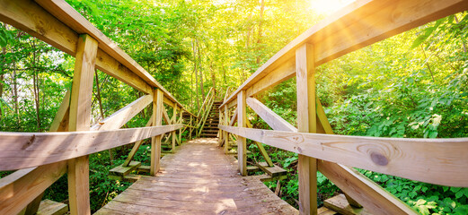 Footbridge in wilderness in natural forest in Ontika, Estonia.