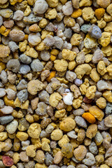 Bee pollen or perga textured background . Raw brown, yellow, orange and blue flower pollen grains or bee bread texture pattern. Healthy food supplement