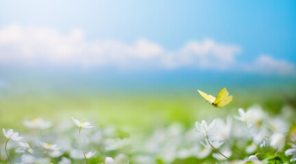 Art Beautiful blurred spring background nature with blooming glade, butterfly and blue sky on a sunny day - 568857862