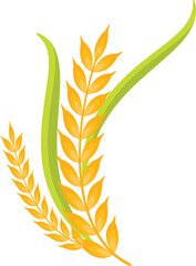 Wheat crop leaf