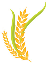Wheat crop leaf