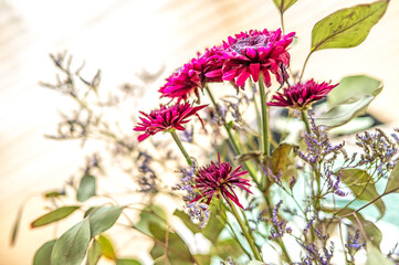 Flowers. © Tomasz Warszewski