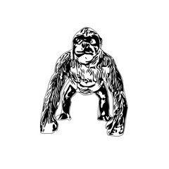Black and white sketch of a gorilla with a transparent background