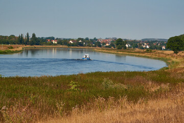 Blick auf die Elbe bei Gohlis im Sommer 2022