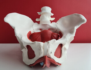 Pelvic injuries and complications of pelvic fractures