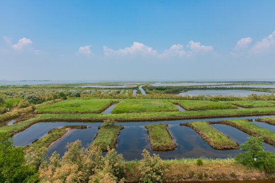Laguna Cavallino Treporti - Venezia