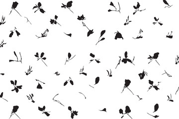 Black Silhouettes of Flowers on a White Background. Vector Illustration.