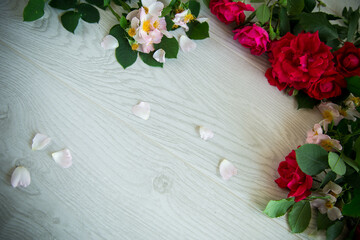 background of many red roses on a light wooden