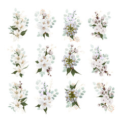 Set bouquets with white spring flowers isolated on white background. Vector illustration.