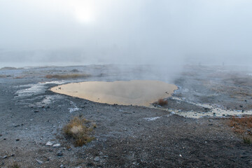 Golden hot spring in the fog Yellowstone