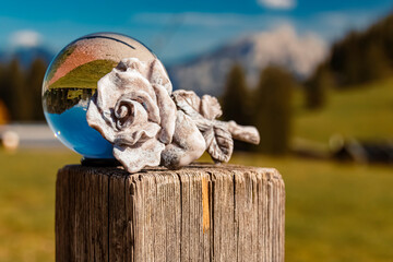 Details of a beautiful stone rose in autumn or indian summer at the famous Loferer Alm, Lofer, Salzburg, Austria