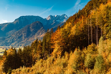 Beautiful alpine autumn or indian summer landscape shot with the Loferer Steinberge mountains in the background at the famous Loferer Alm, Lofer, Salzburg, Austria