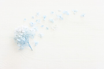 Top view image of blue Hydrangea flowers over white wooden background .Flat lay