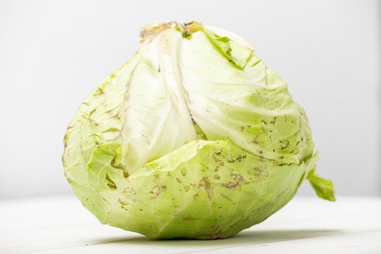 cabbage isolated on white background