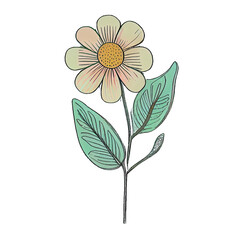 Obraz premium Cute flower hand drawn element, perfect for decorating Valentine Day or Mother Day card.