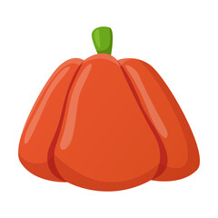 Pumpkin flat illustration. Drawing of healthy vegetable isolated on white background. Organic food, autumn or fall concept