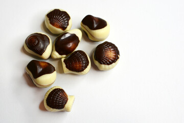Chocolate candy seashells on white background