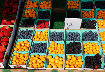 berries in containers