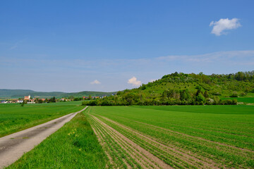 Mittelgebirgslandschaft der Haßberge bei Goßmannsdorf, Ortsteil der Stadt Hofheim in  Unterfranken, Landkreis Haßfurt, Naturpark Haßberge,  Unterfranken, Franken, Bayern, Deutschland